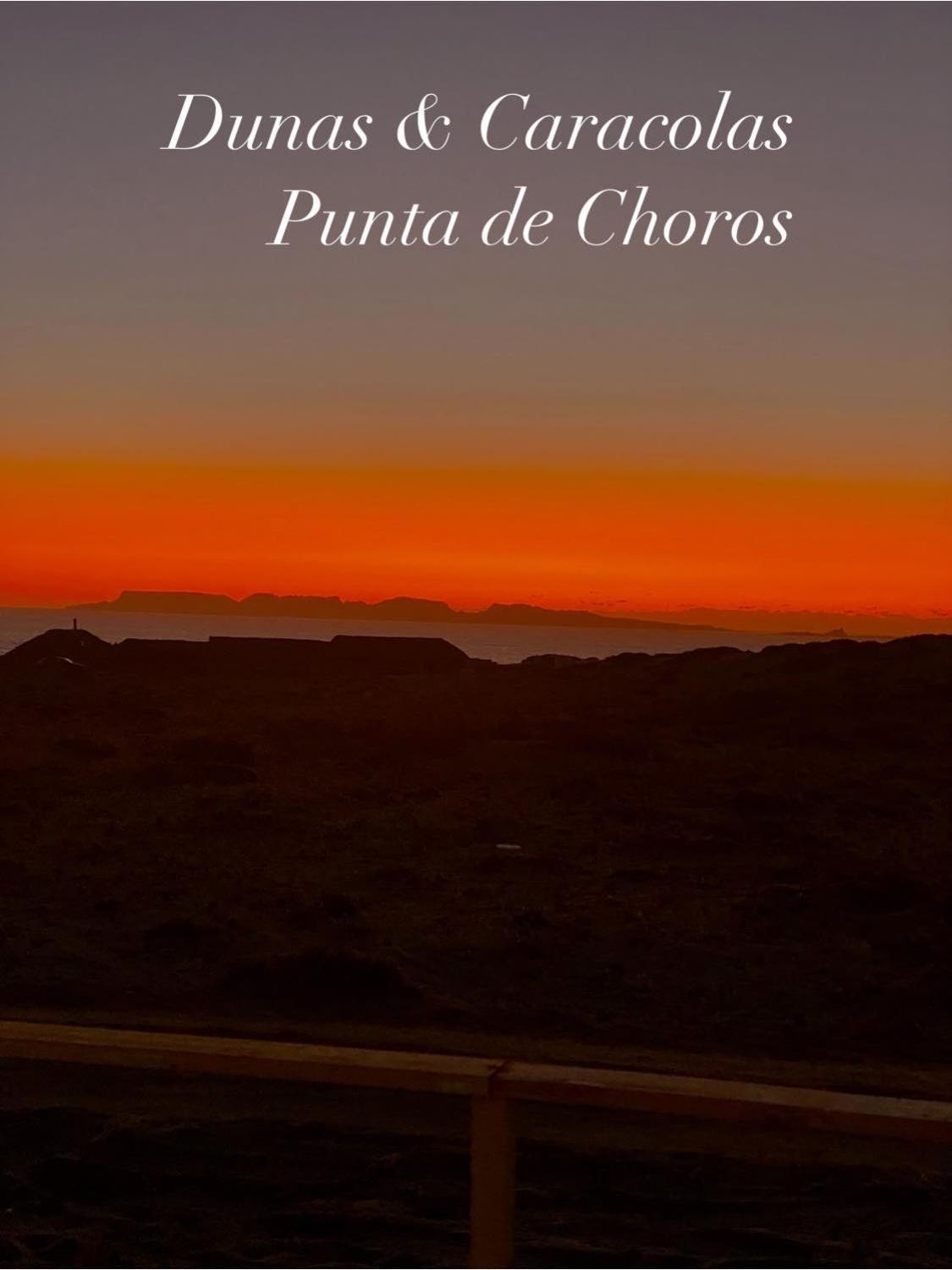 Entre Dunas Y Caracolas Punta de Choros Exterior photo