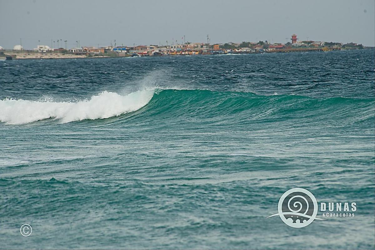 Entre Dunas Y Caracolas Punta de Choros Exterior photo